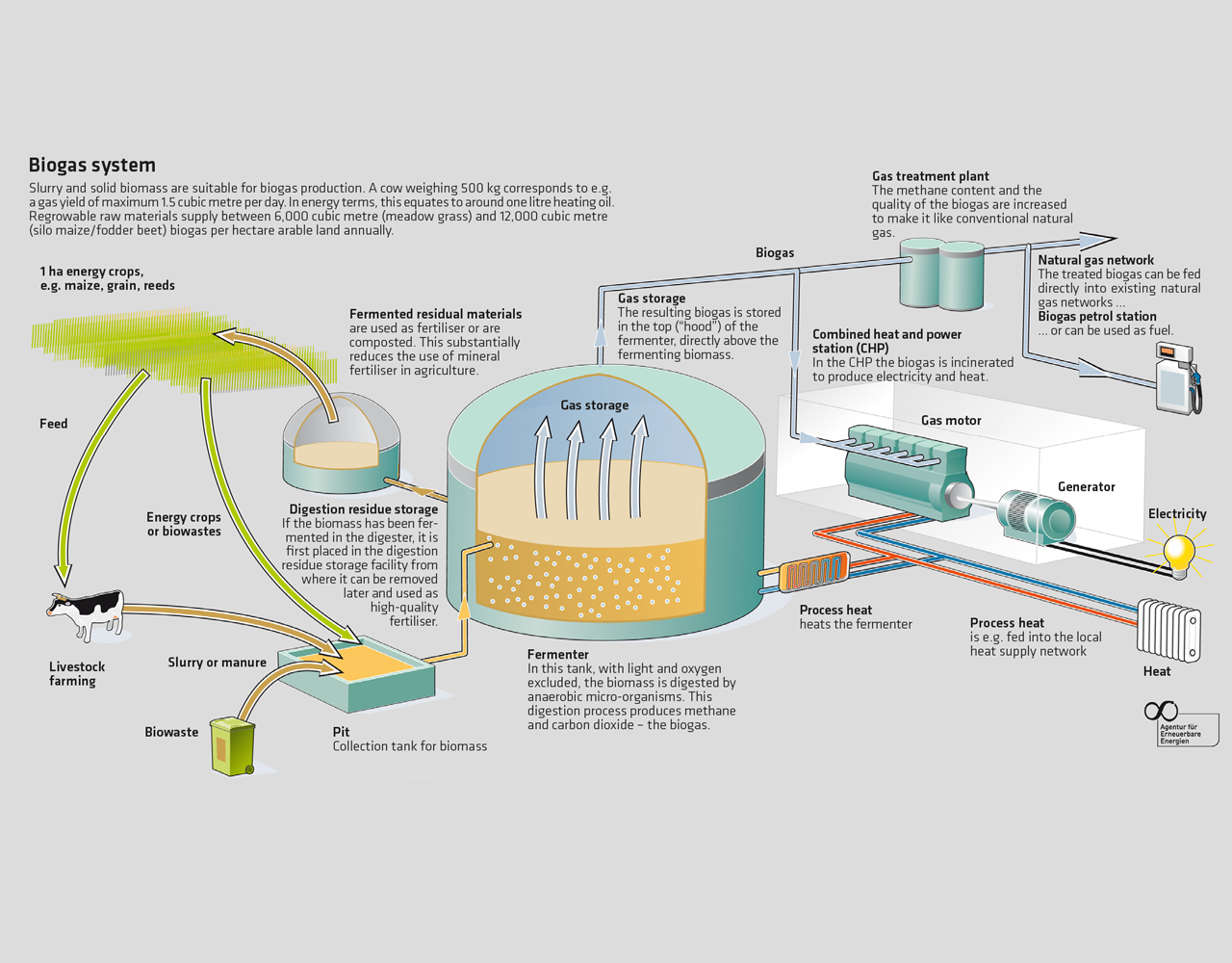 BIOGAS SOLUTIONS CIMEFZO